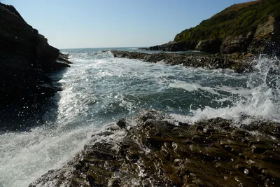 DSC_2693 (Large).JPG